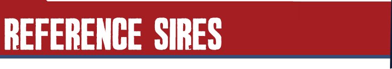 Herd Sires