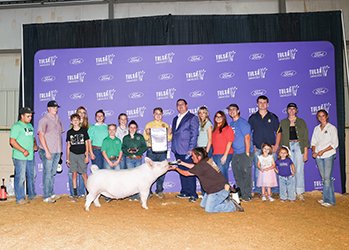 Reserve Yorkshire Gilt
2025 Tulsa State Fair