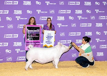 5th Overall NSR Barrow & Reserve Yorkshire 
2025 Team Purebred Music Drive