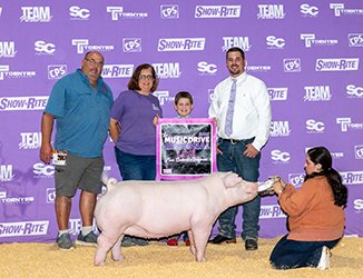 Reserve Chester Gilt 
2025 Team Purebred Music Drive