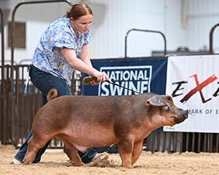 Reserve Duroc Barrow
2025 NJSA SW Regional