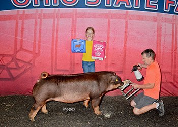 4th overall divison 2 duroc gilt 
2025 OH State Fair