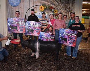 Grand champion market hog
2025 Westmoreland County-PA