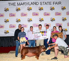 Grand Champion Purebred Market Hog & Champion Duroc
2025 MD State Fair