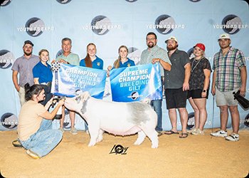 GRAND CHAMPION GILT & CHAMPION LIGHT CROSS
2025 CYE