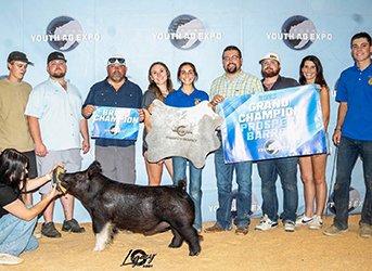 GRAND CHAMPION PROSPECT BARROW 
2025 CYE