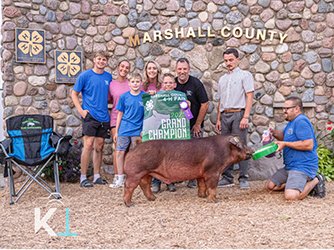 Grand champion barrow 
2025 Marshall County-IN