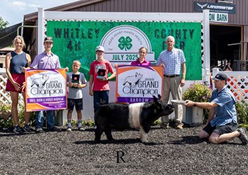 Grand champion barrow
2025 Whitney County-IN