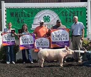 RESERVE GRAND BARROW
2025 Whitney County-IN