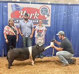 Reserve grand market hog
2025 York County-PA