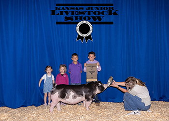 Reserve spot gilt
2025 KS Junior Livestock Show