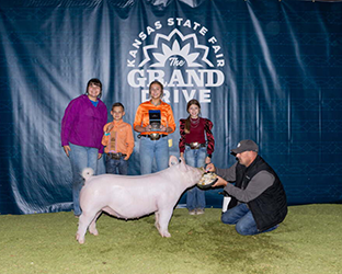 Reserve Yorkshire gilt
2025 KS State Fair
