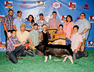 Winners