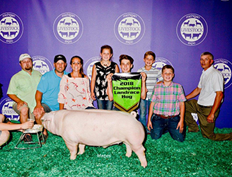 Upperhand Winners