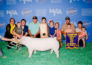 Winners