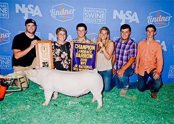 Winners