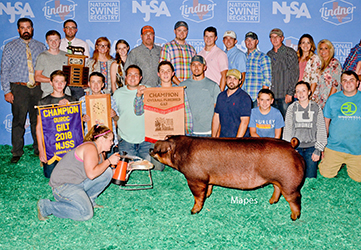 Upperhand Winners