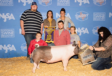 Upperhand Winners
