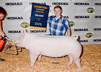 Upperhand Winners