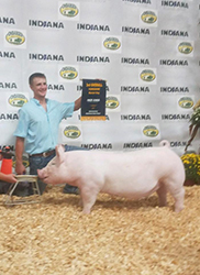 Upperhand Winners
