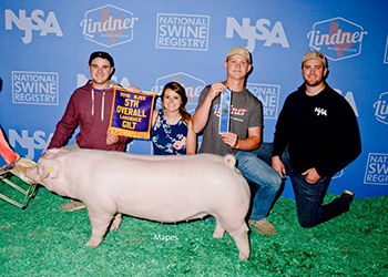 Upperhand Winners