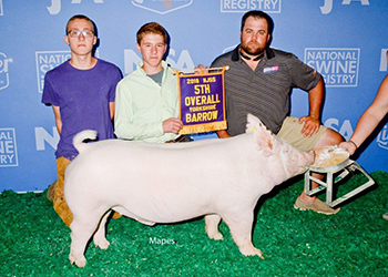 Upperhand Winners