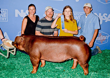 Upperhand Winners