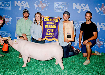 Upperhand Winners