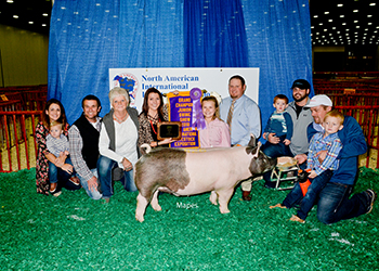 Upperhand Winners