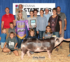 Upperhand Winners