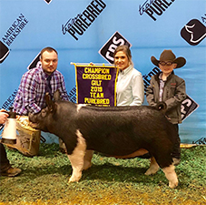 Upperhand Winners