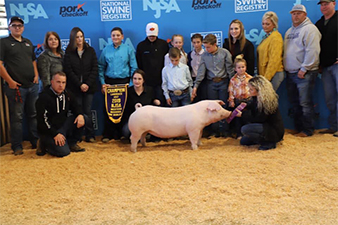 Upperhand Winners