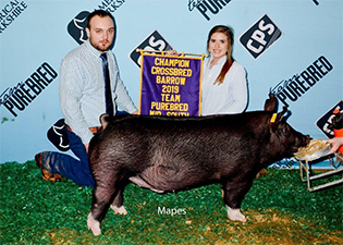 Upperhand Winners