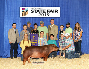 Upperhand Winners