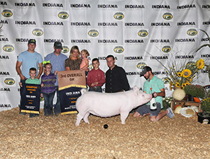 Upperhand Winners