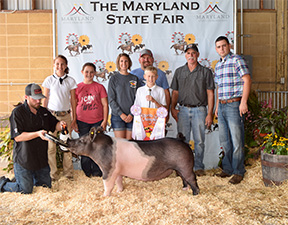 Upperhand Winners