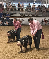 Upperhand Winners
