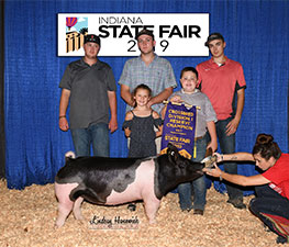 Upperhand Winners
