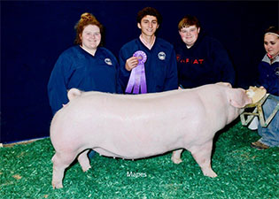 Upperhand Winners