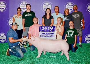 Upperhand Winners