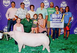 Upperhand Winners