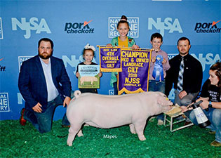 Upperhand Winners