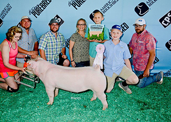 Upperhand Winners
