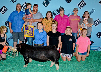 Upperhand Winners