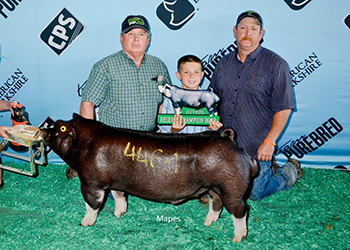 Upperhand Winners