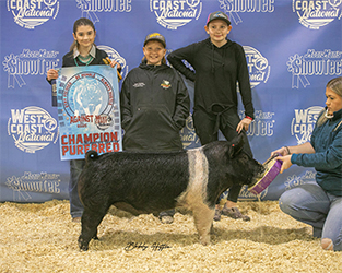 Upperhand Winners