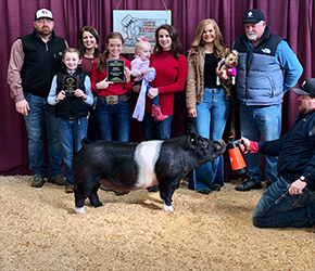 Upperhand Winners