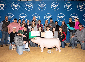 Upperhand Winners