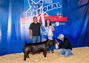 Upperhand Winners
