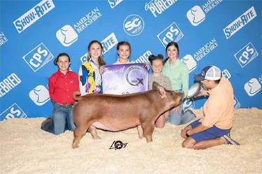 Upperhand Winners